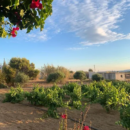 Διαμέρισμα Vino Αγία Άννα