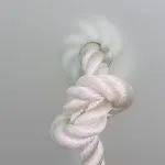 Vino