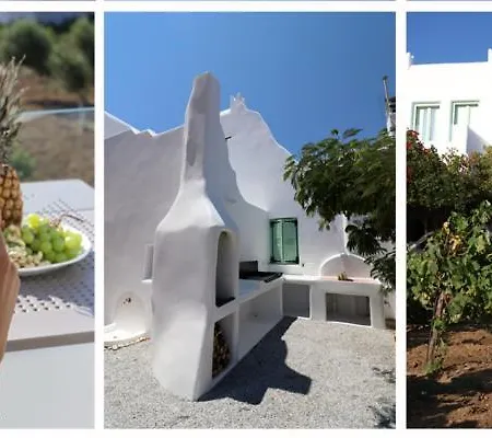 Vino Apartment *