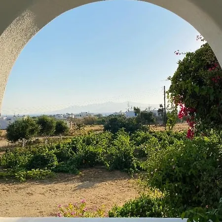 Vino Apartment Agia Anna (Naxos)