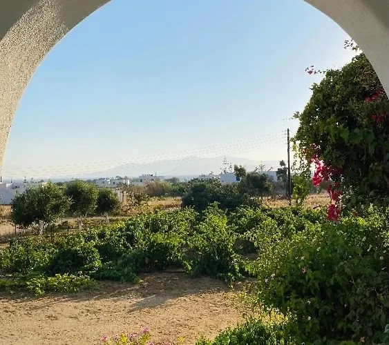 Vino 아파트 Agia Anna (Naxos)