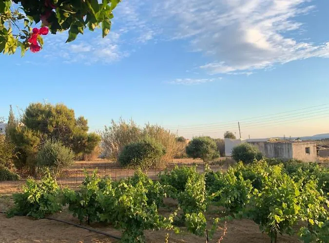 아파트 Vino Agia Anna (Naxos)